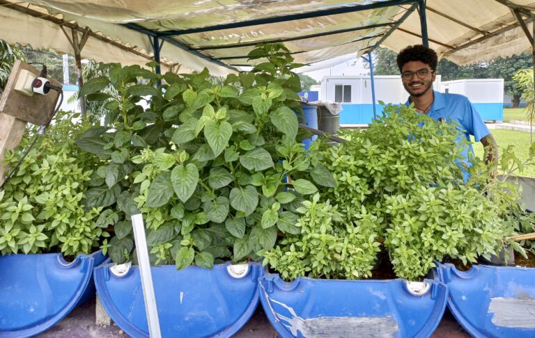 ICSA Senior Tackles Food Insecurity with Aquaponics System