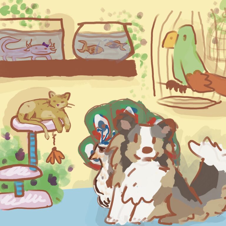 Paws, Play, and Love: As the Year Ends, Pets Stay By Our Sides